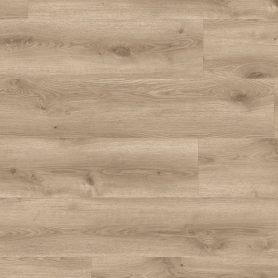 CONTEMPORARY OAK NATURAL (35951111), KOLEKCJA STARFLOOR CLICK 55 || Panele podłogowe 